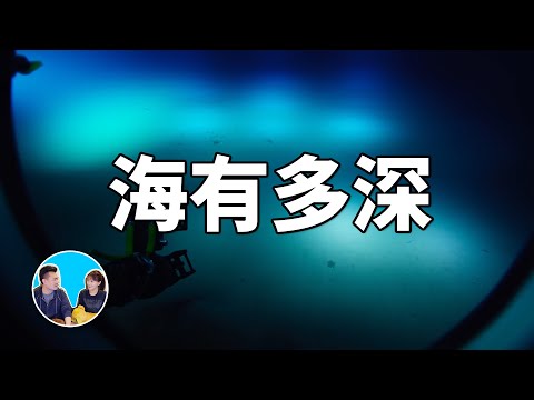 超出你想象的深海世界 | 老高與小茉 Mr & Mrs Gao