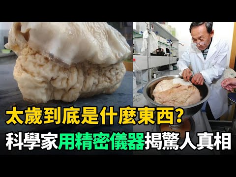 "太歲"到底是什麼東西？中國科學家用先進精密儀器，終於揭開驚人真相