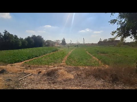 مزرعة 6 فدان موقع مميز جدا في ابو غالب اول طريق مصر اسكندرية الصحراوي