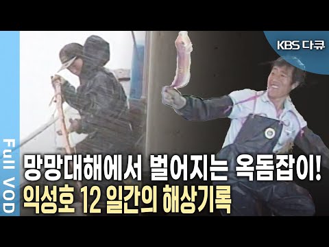 태풍, 폭풍우 등 겪어야 하는 시련은 헤아릴 수 없다! 망망대해에서 벌어지는 제주 옥돔잡이배 12일간의 해상기록! | 동중국해 제주 옥돔잡이 12일 | KBS 20110503 방송