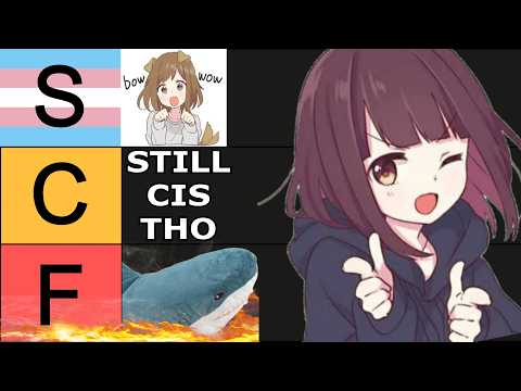 🏳️‍⚧️ The ULTIMATE Trans Stereotype TIERLIST!!!