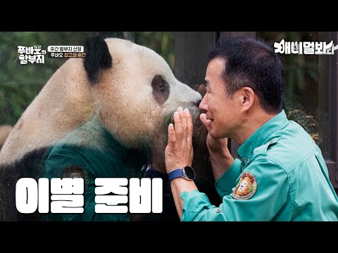 Best Moments For Fu Bao And Kang Bao