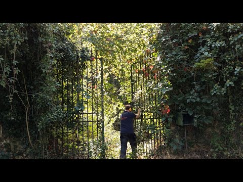 We bought a ruined mill house in France - Clearing the grounds and exploring the land