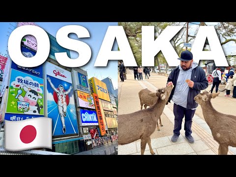 Our INSANE Day In Osaka, Japan! 🇯🇵 Riding The Shinkansen, Feeding Deer In Nara, Dotonbori Food!