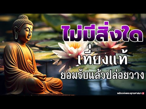 ใครที่เพิ่งเริ่มภาวนา ให้เริ่มแบบนี้ คือวิธีที่ถูกต้องที่สุด #ฟังคำสอนของพระพุทธเจ้า #พุทธวจน🙏🙏