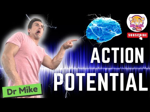 Action Potential | Graded Potentials