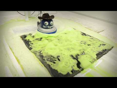 I Found the Dirtiest Rug, In The Most Shocking Garden, Then You Won’t Believe the Results!