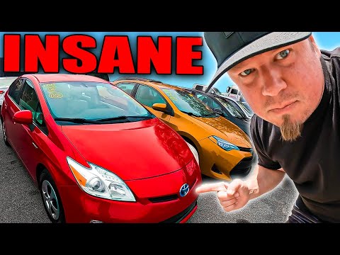 14 Minutes Of ME Getting INSANE PRICES At A Car Dealer Auction
