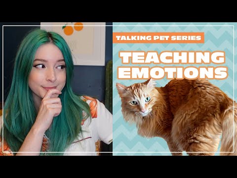Teaching Emotions | Talking Pet Series