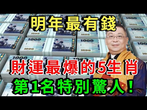 別錯過！2026年最有錢，財運最爆的5個生肖，第1名驚人！明年賺到手軟不是夢！退休躺賺，數錢數到睡不著，福氣財運享不完！ |禪悟修心 #生肖 #運勢 #命理 #屬相 #風水 #財運 #佛陀 #佛學