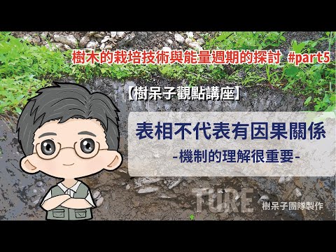 【樹呆子觀點講座】表相不代表有因果關係-機制的理解很重要   #樹木的栽培技術與能量週期的探討 #part5