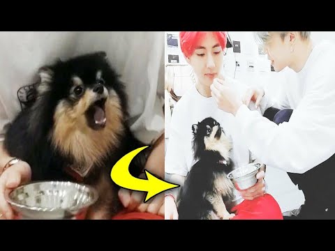 BTS's beautiful moments in ARMY's heart