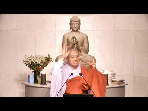 삶이 통째로 다 생각이다, 생각에 속지 않으면 대자유