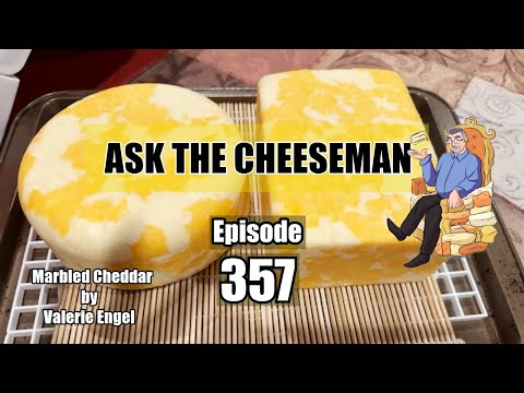 🔴 Ask the Cheeseman #357