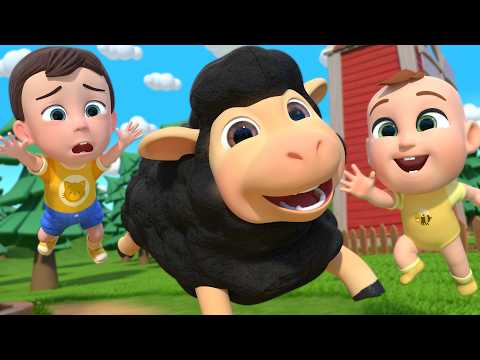 Baa Baa Black Sheep Song  +More Newborn Educational Nursery Rhymes & Kids Songs