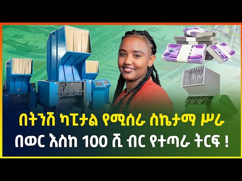 በወር እስከ 100 ሺ ብር የተጣራ ትርፍ ! በትንሽ ካፒታል የሚሰራ ስኬታማ ሥራ | small business ideas in Ethiopia | gebeya media