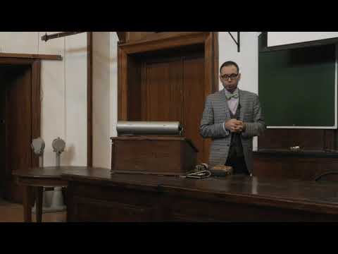 Зернов А. С. - Высшие растения - 4. Меристемы, покровные ткани