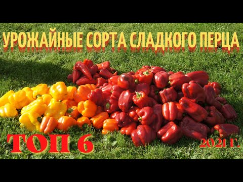 Урожайные сорта сладкого перца 2021г