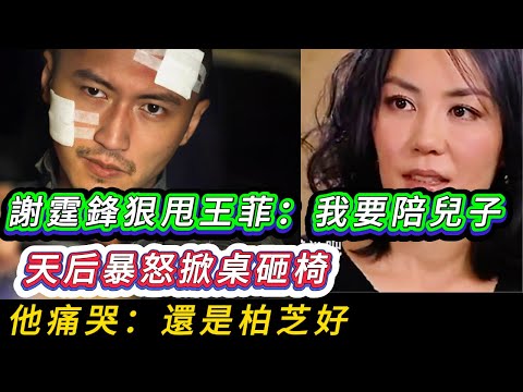 當王菲的憤怒化為真實的傷害，而張柏芝的港灣始終為他亮著一盞燈時，謝霆鋒那句無意識的“還是柏芝好”，是否宣告了激情最終敗給了安寧？