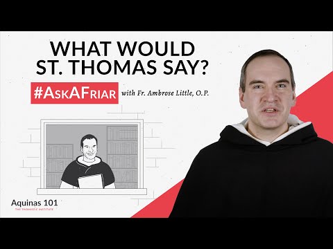 Q&A: Is Water Wet? And More! #AskAFriar (Aquinas 101)
