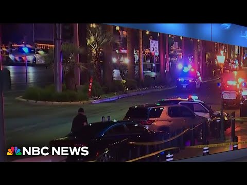 Las Vegas shooting suspect turns himself in after manhunt