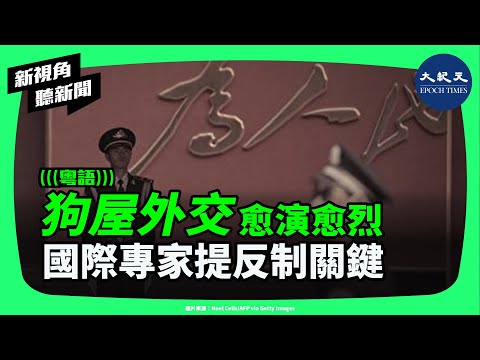 中共「狗屋外交」愈演愈烈！全球多國成為目標：從日本到立陶宛，中共二十年如何用制裁逼迫各國？專家揭示：國際反制正悄悄開始！ | #新視角聽新聞 #香港大紀元新唐人聯合新聞頻道