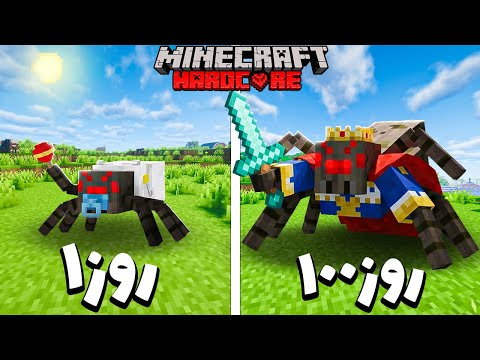 100 روز در نقش عنکبوت داخل ماینکرفت زندگی کردم