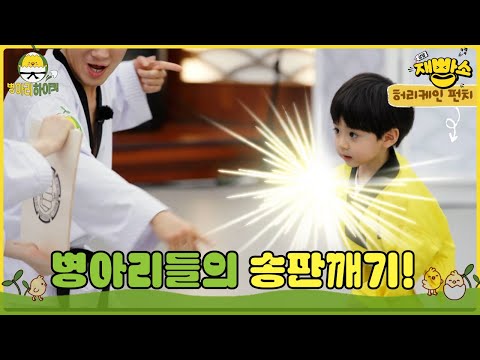 [병아리 하이킥]🐤 🥋 병아리들의 송판깨기! 두려움 다 덤벼~! #9