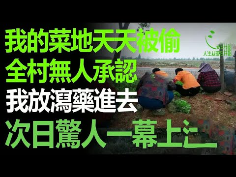 最近我的菜地天天被人偷，我問了全村沒有人承認，我無奈，只得偷偷撒瀉藥進去，結果第二天驚人一幕上演了！