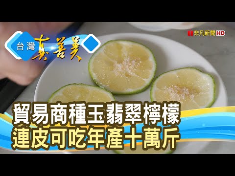 “玉翡翠檸檬”開啟新人生|檸檬森林|【台灣真善美】2025.11.16