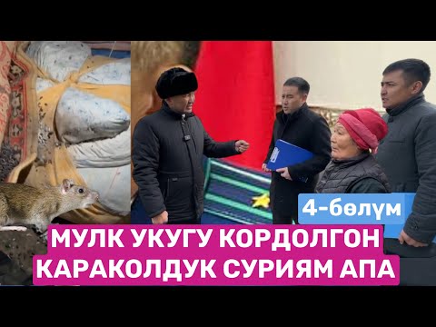 МҮЛК УКУГУ КОРДОЛГОН КАРАКОЛДУК СУРИЯМ АПА / 4-бөлүм