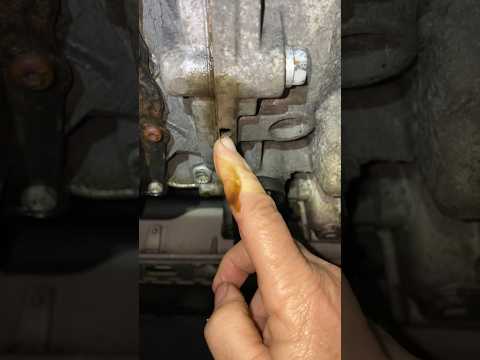 How To Find A Rear Main Seal Leak  #motorcarnut #automobile  #mechanic #rearmainseal #shorts