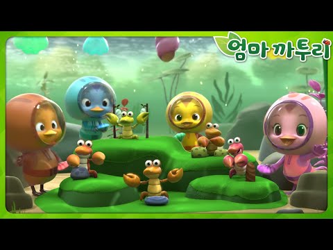 [엄마까투리5] 가재의 시냇물 음악회 외 | 엄마 까투리 | 까투리 | Katuri | 시즌5 모음 제21~30화