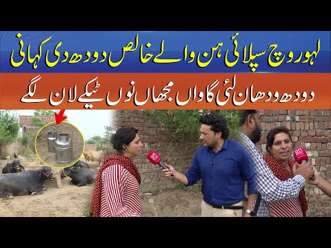 Punjab Alert EP30 - Pure Milk in Lahore – Myth or Reality - Woman vs Anchor - Sun News Punjabi