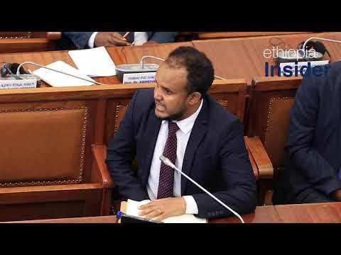 ዶ/ር ደሳለኝ ጫኔ ላቀረቧቸው ጥያቄዎች ፕ/ር  ብርሃኑ ነጋ የሰጡት ምላሽ | Ethiopia| Dessalegn Chanie| Berhanu Nega| Education