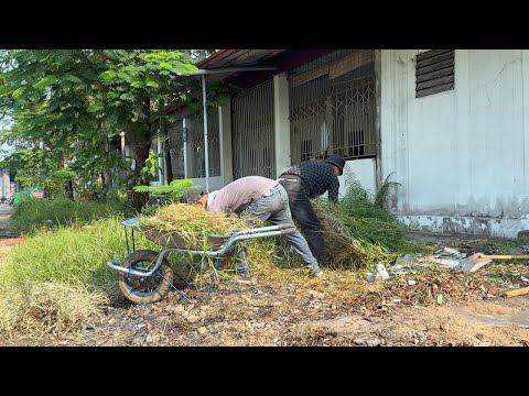 Cleaning Up the SIDEWALK in Front of an ABANDONED Restaurant - The SHOCKING Transformation
