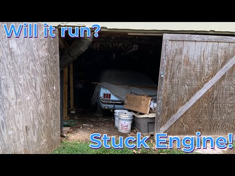 FORGOTTEN Ford Mustang Under House for 21 Years! Will it run? Rescue Part 1