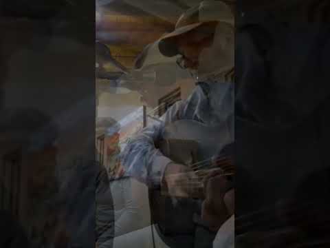 Whiskey in the Jar- Traditional