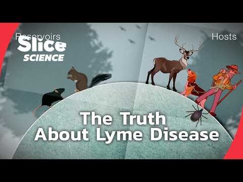 Lyme Disease: The Hidden Epidemic | SLICE SCIENCE | FULL DOC