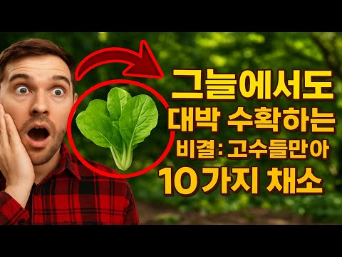 그늘에서도 대박 수확하는 비결: 고수들만 아는 10가지 채소
