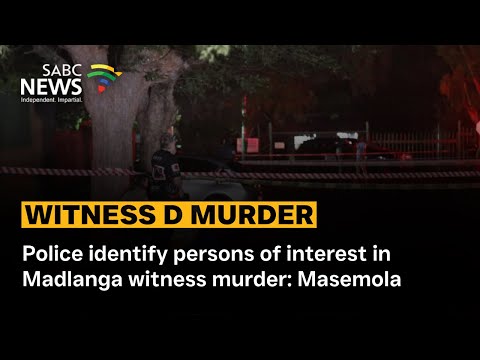Police identify persons of interest in Madlanga witness murder: Masemola