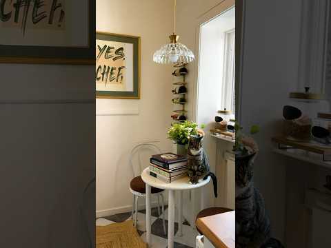 This San Francisco studio apartment is a renter’s dream ✨ #studio