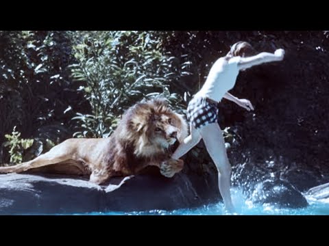 These Animal Attacks Happened Against All Odds