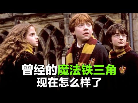 【哈利波特】中的魔法铁三角，也终究敌不过岁月