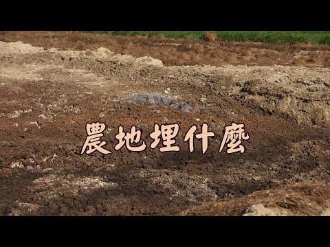 【農地污染】農地埋什麼｜那些不該出現的有害廢棄物 (我們的島 1123集 2021-09-20)