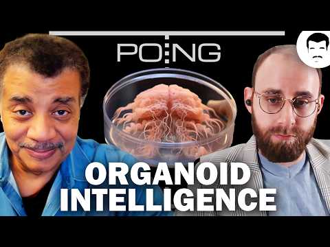 Scientists Discuss the Future of Biological Computing