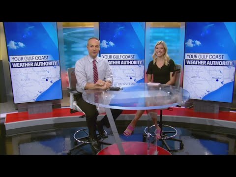 Forecasting With Friends: Protecting your pets from the sun