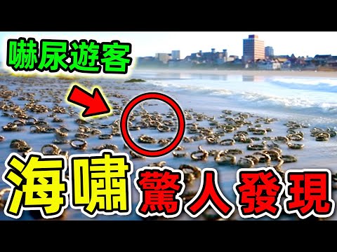 海嘯最可怕的10個驚人發現！探險隊意外拍攝的恐怖畫面，第一名科學家直接被嚇壞。|#世界之最top #世界之最 #出類拔萃 #腦洞大開 #top10 #海嘯 #驚人發現