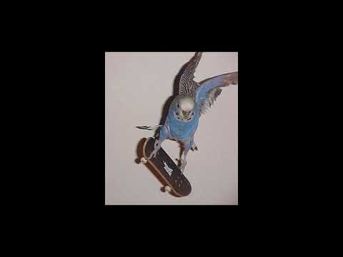 The Perfect Girl (𝙃𝘼𝙍𝘿𝙎𝙏𝙔𝙇𝙀 + 𝙎𝙋𝙀𝘿 𝙐𝙋) (prod. ROFLMAO3XOLOL)