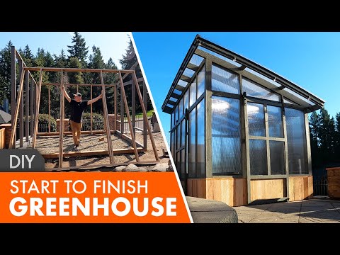 Amazing backyard DIY modern greenhouse built cheap!